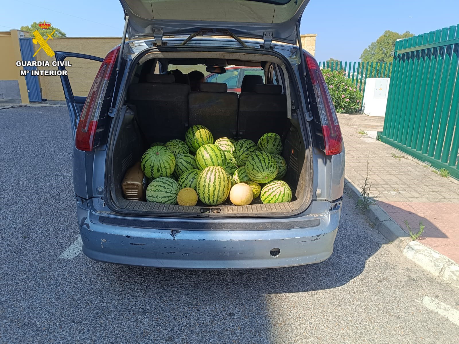 Sandias incautadas por la Guardia Civil en la provincia de Sevilla