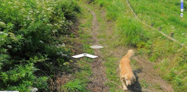 El perro acompaña al hombre durante su aventura.