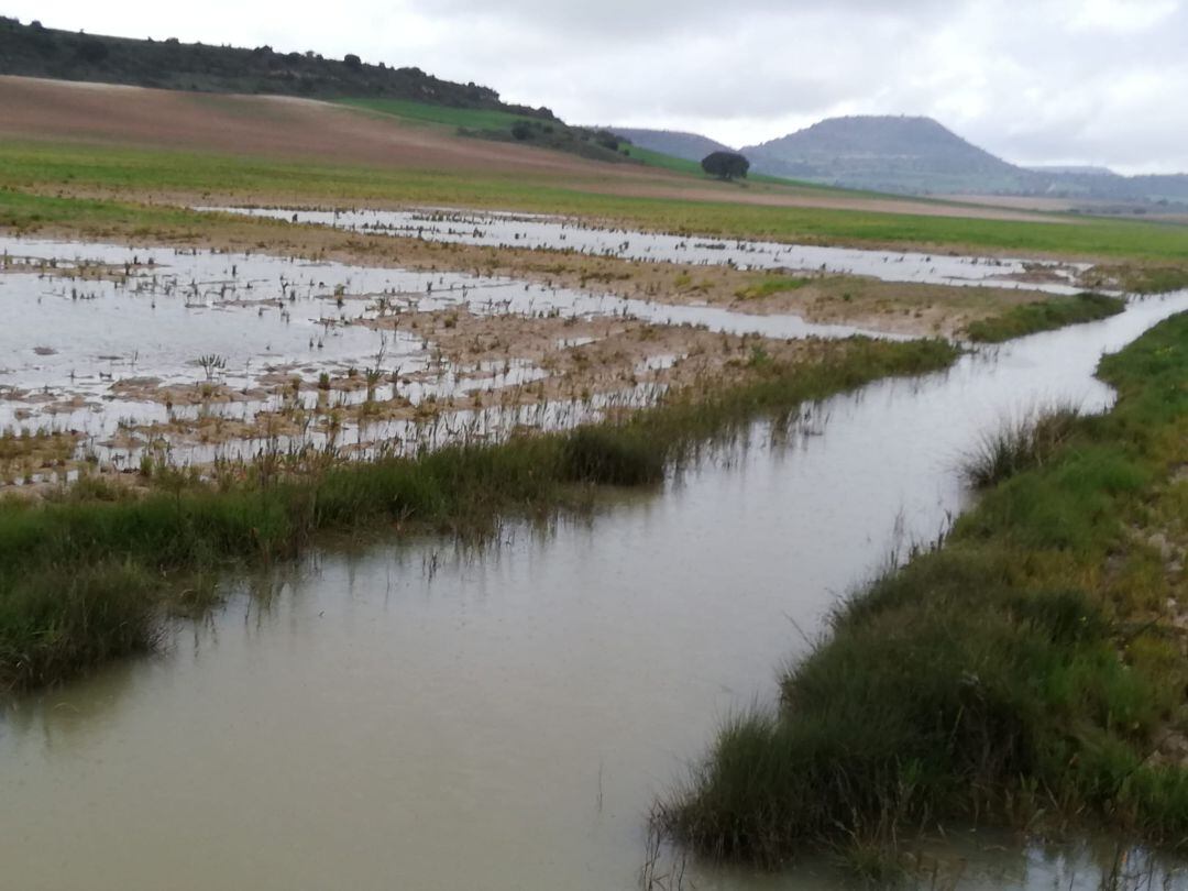 Parcela inundada en Fuentelsaz