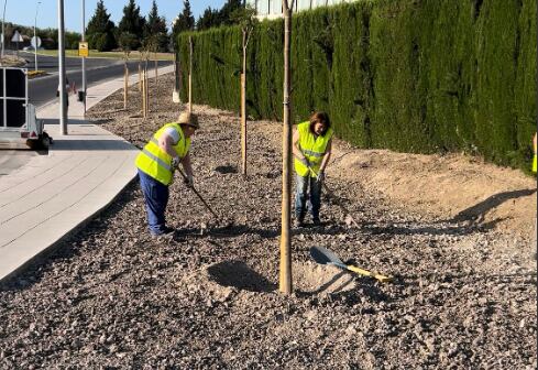 Dos empleadas plantan un ejemplar cerca del Jaén Plaza.