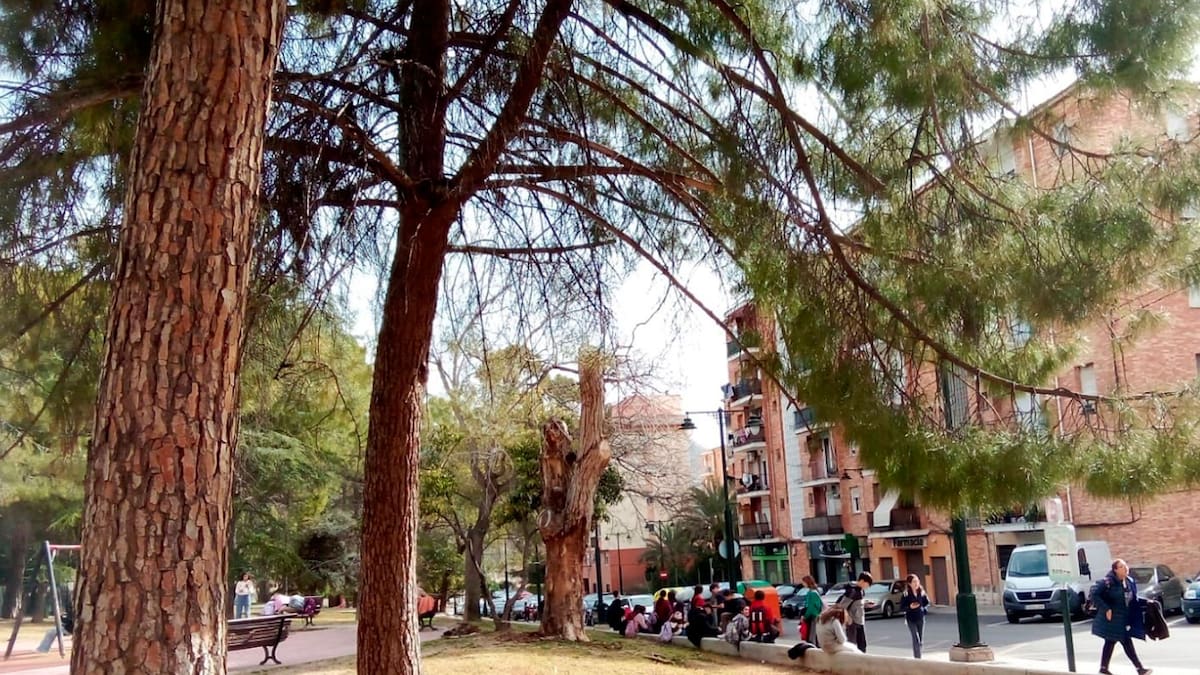 El AMPA del IES Andreu Sempere advierte que aún hay alumnos que se quedan en tierra