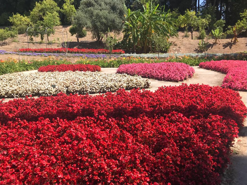 Jardín Botánico Histórico La Concepción (primavera 2023)