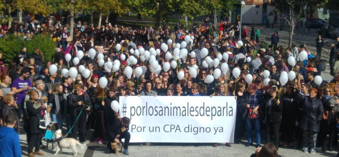 Los manifestantes han criticado la gestión del gobierno municipal en el Centro de Protección Animal