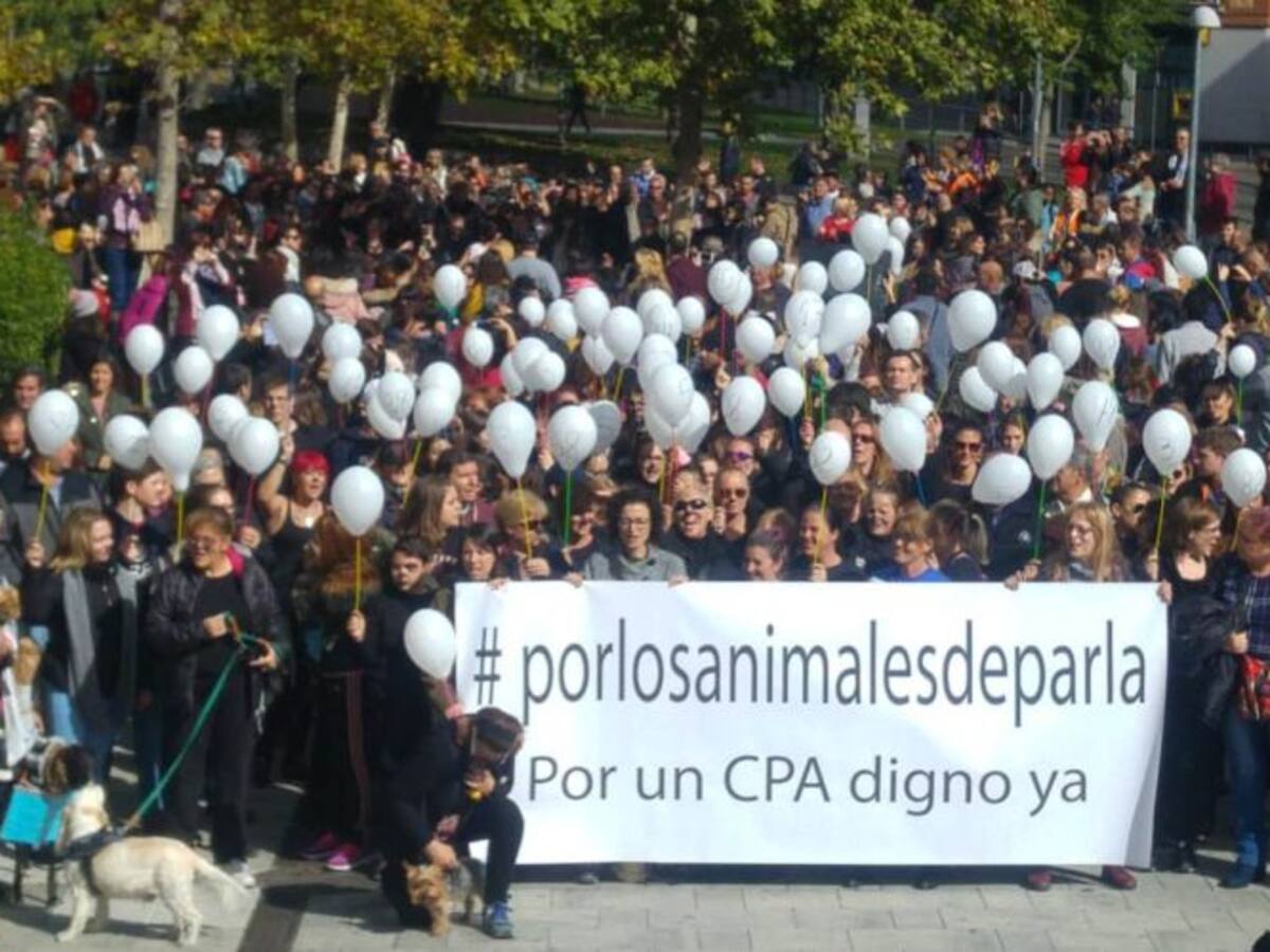 Contrarreloj para salvar a los animales de Parla