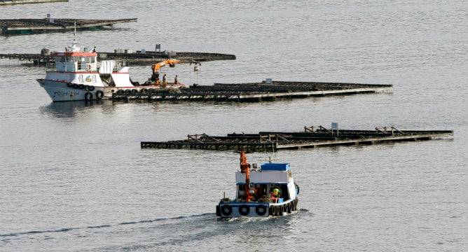 Polígono de bateas dedicadas a la cria del mejillón, donde el pesquero &#039;Serviola I&#039; ha chocado cuando regresaba de pescar, a la entrada del puerto de Muros, en A Coruña.