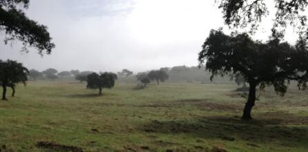 Ruta Cerro Muriano - Córdoba, por la Armenta en otoño