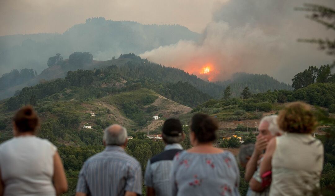 El fuego provocado en la isla de Gran Canaria en el año 2019 calcinó 12.000 hectáreas