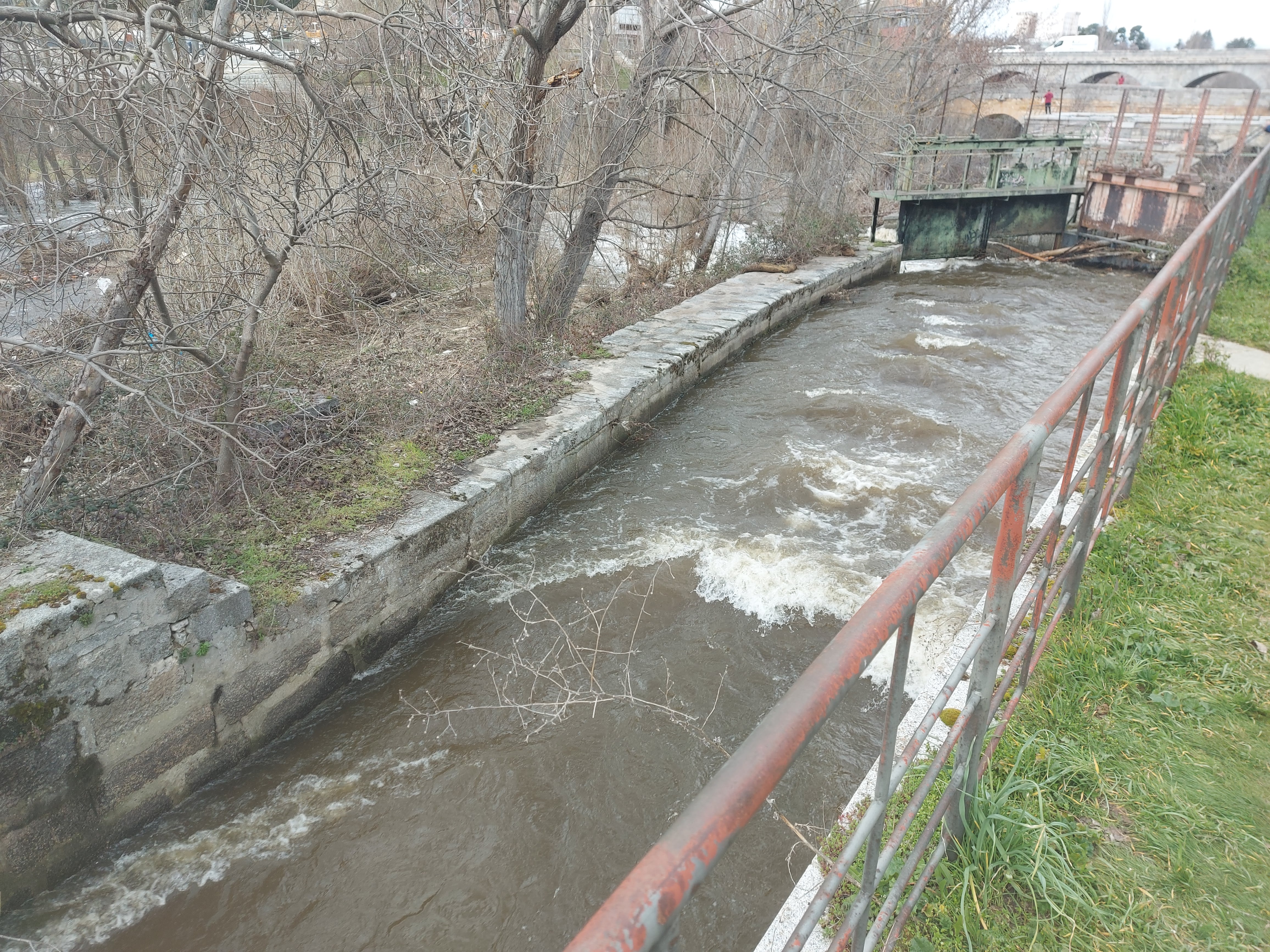 Situación del río Adaja a su paso por la capital, este pasado lunes