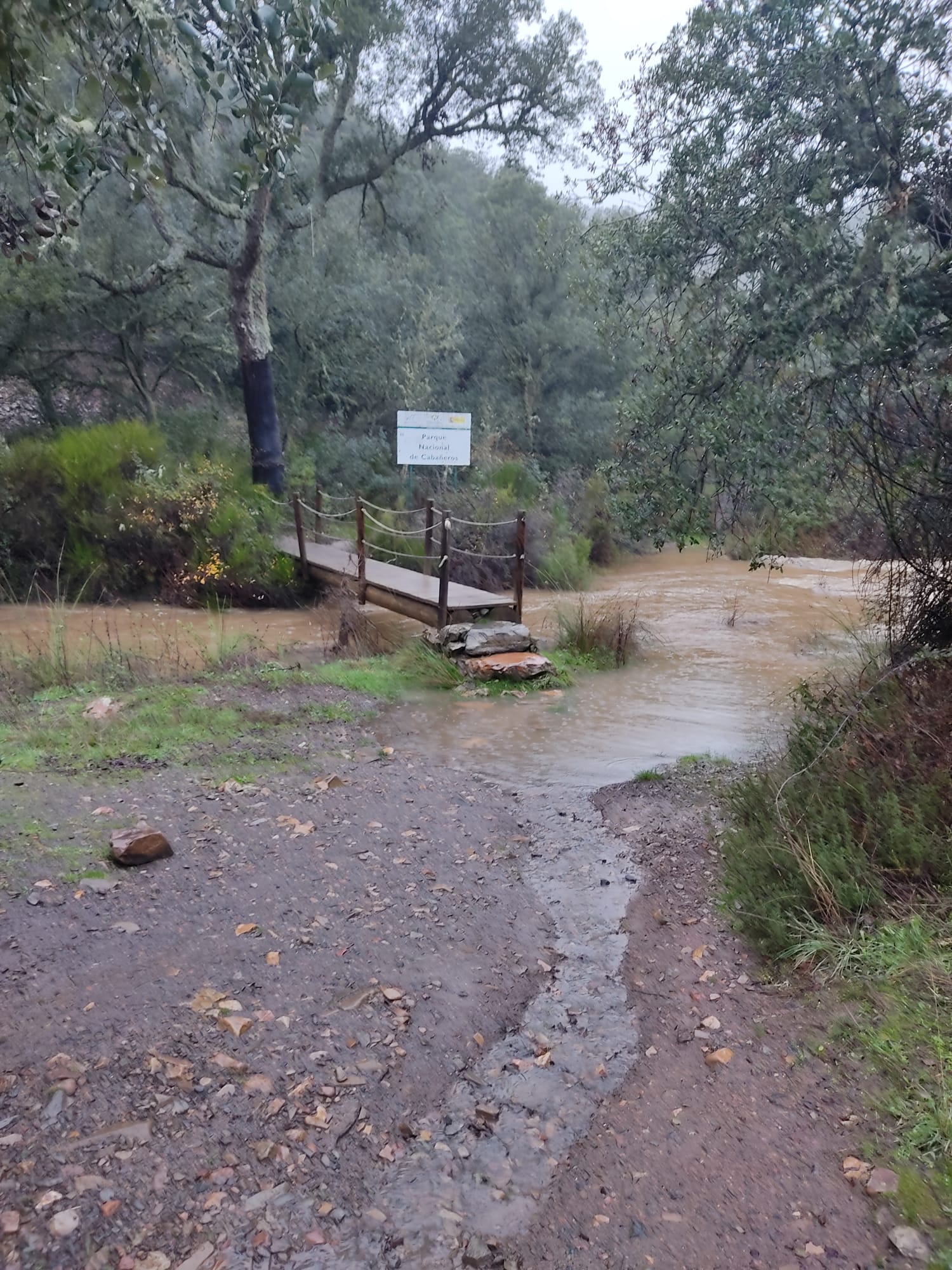 Puente de inicio de la ruta del Boquerón del Estena, que todavía está abierto, en el Parque Nacional de Cabañeros