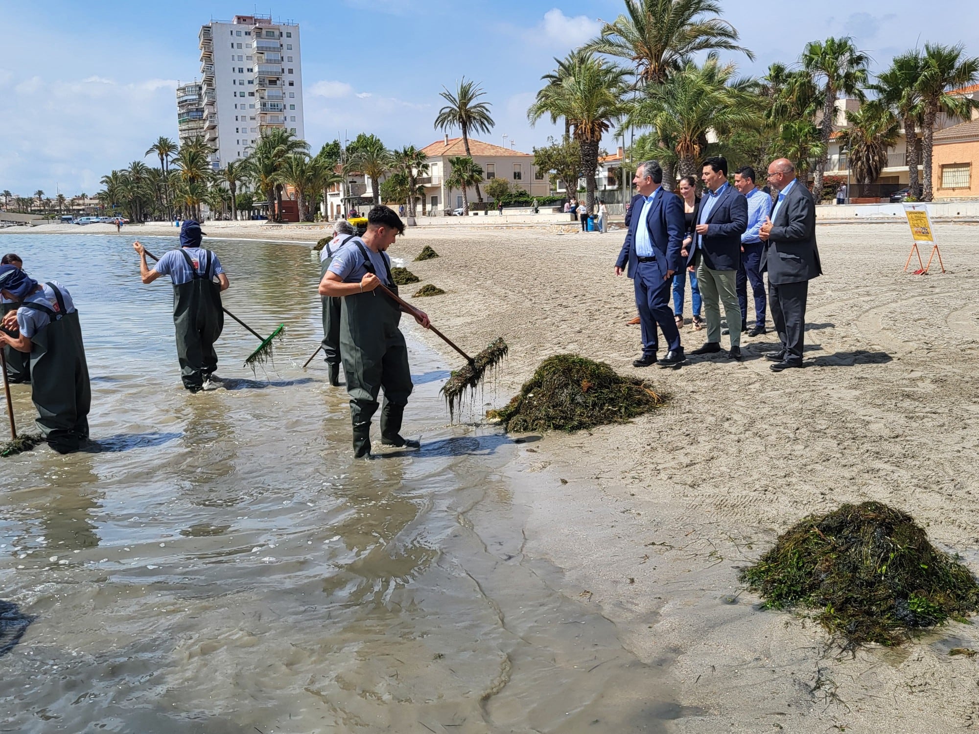 El consejero de Medio Ambiente, Universidades, Investigación y Mar Menor, Juan María Vázquez, junto con el alcalde de San Javier, José Miguel Luengo, visita a las brigadas de recogida de biomasa en el Mar Menor