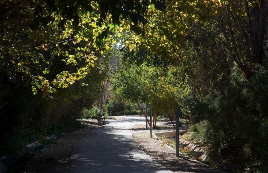 Imagen de un parque de València