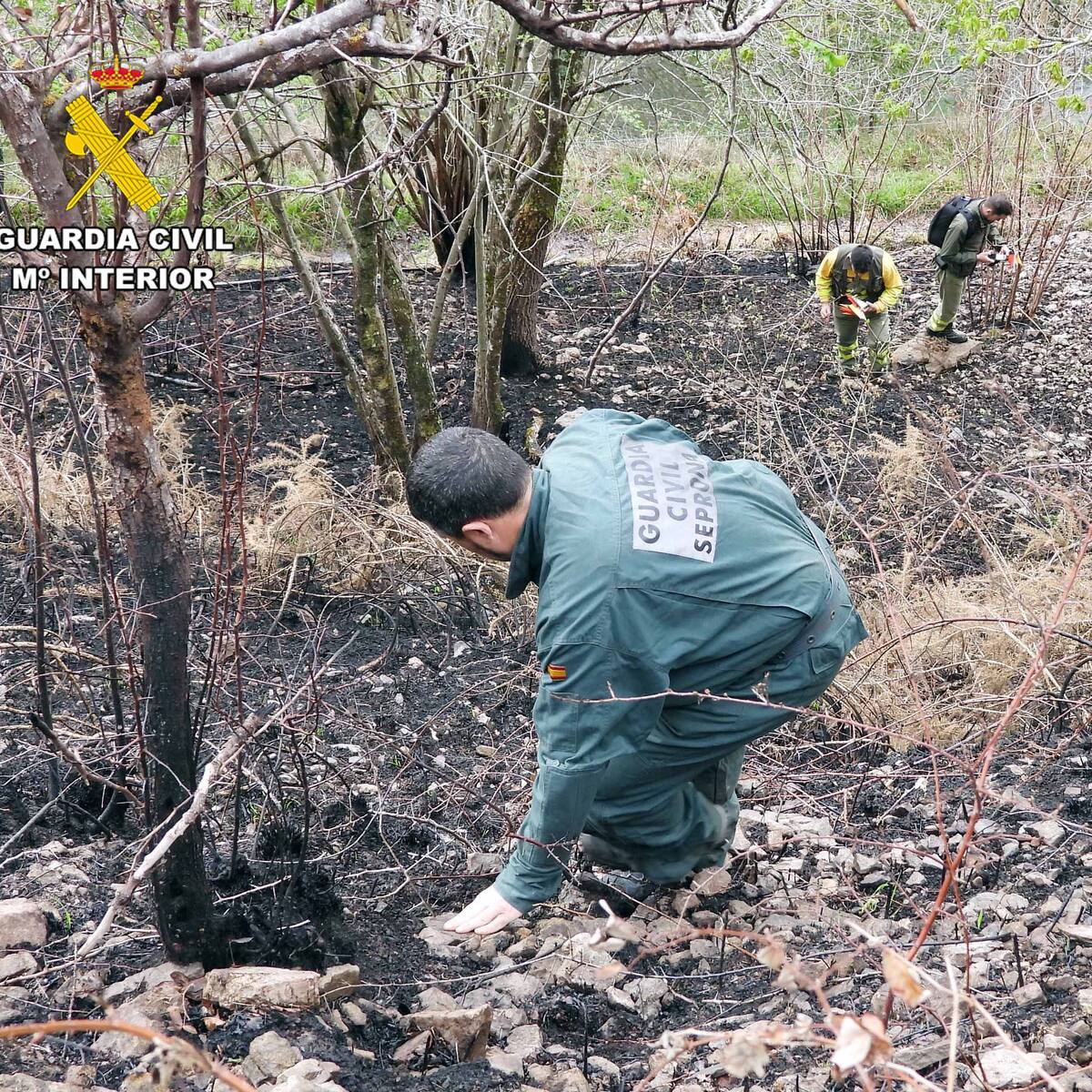 La Guardia Civil detiene al presunto autor de 6 incendios forestales en Arredondo
