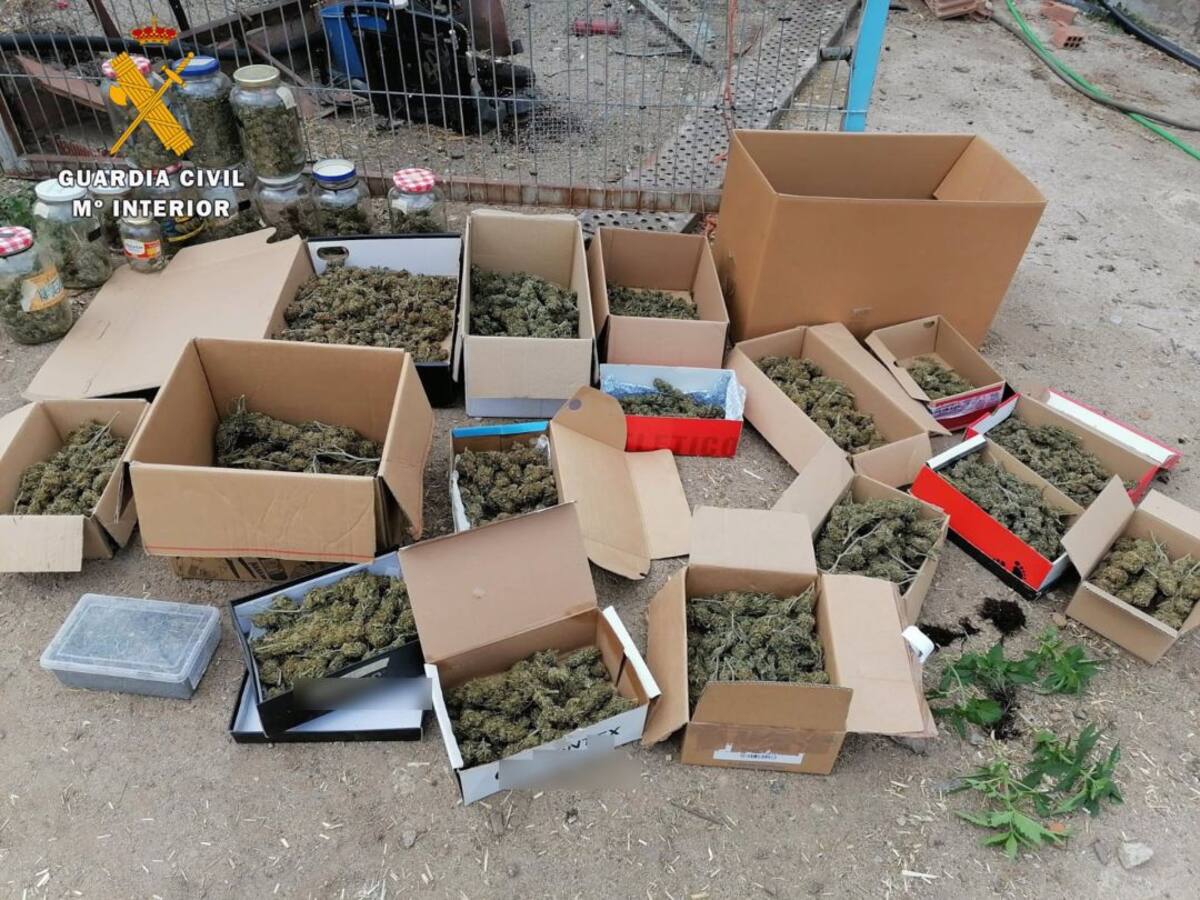 Detenida una persona en Dos Torres tras intervenirle siete kilos de marihuana