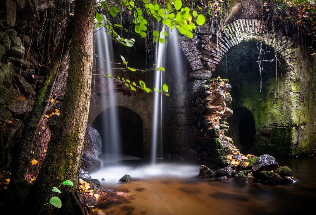 “Magia en el agua”, de Raúl Ortega