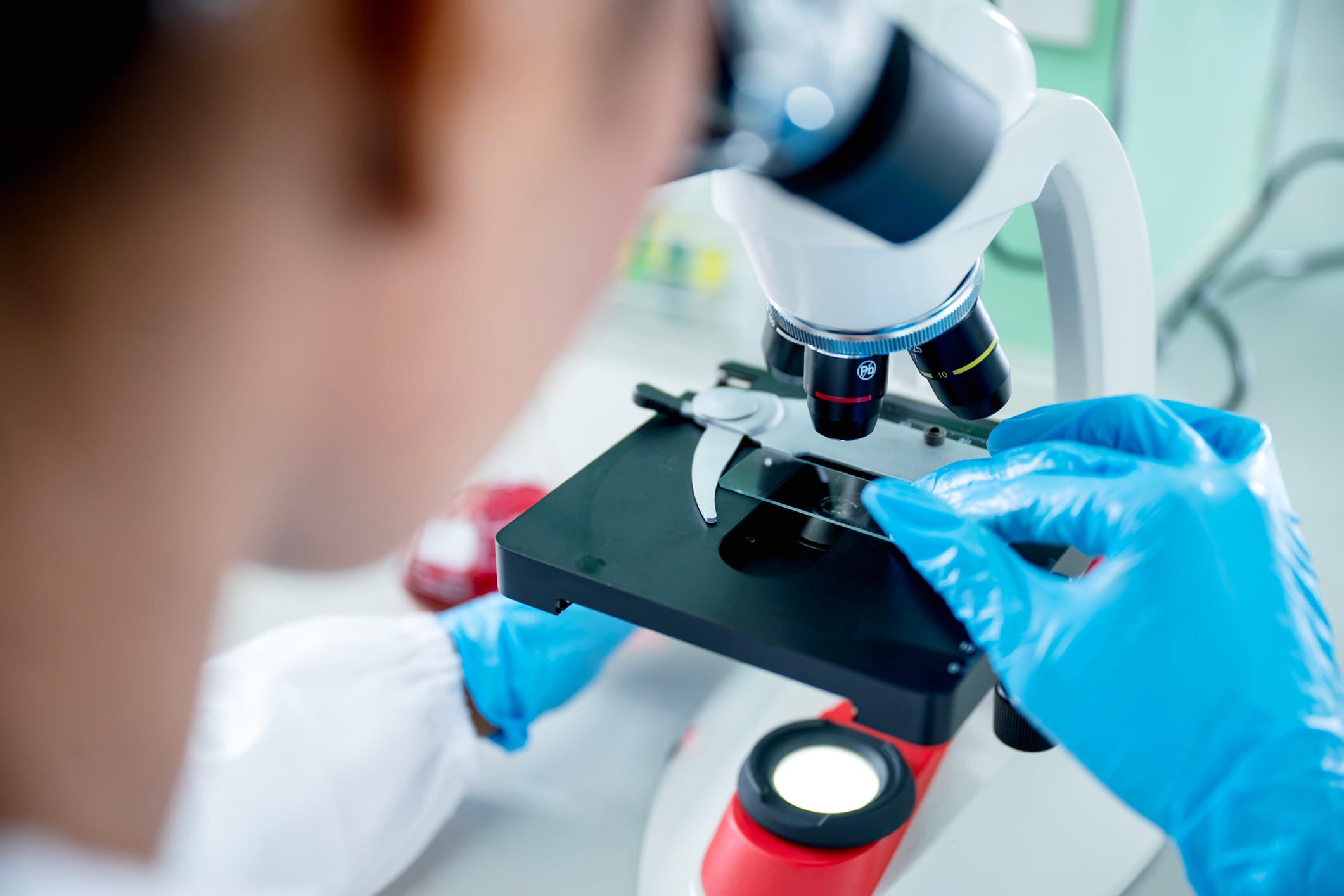 Investigación en un laboratorio.