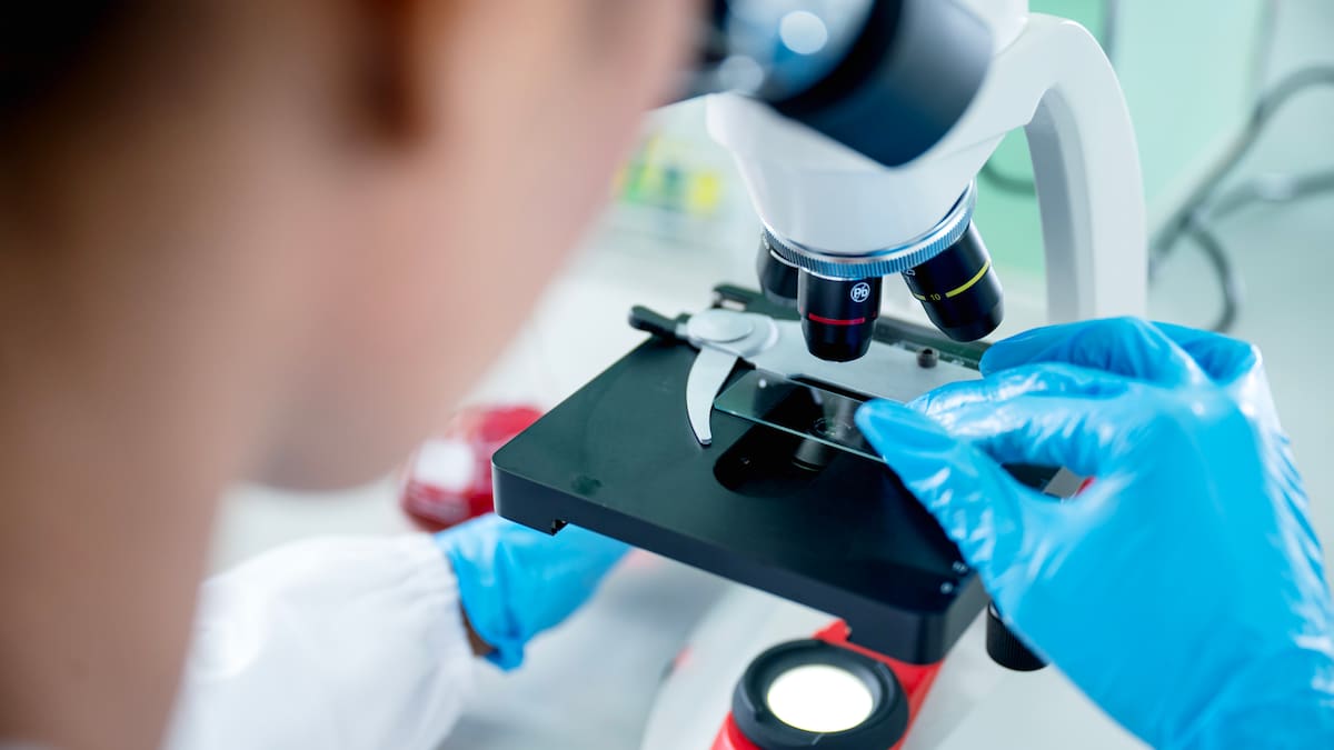 Los veterinarios leoneses piden al Ayuntamiento de León que formalice la candidatura para acoger la Agencia Estatal de Salud Pública