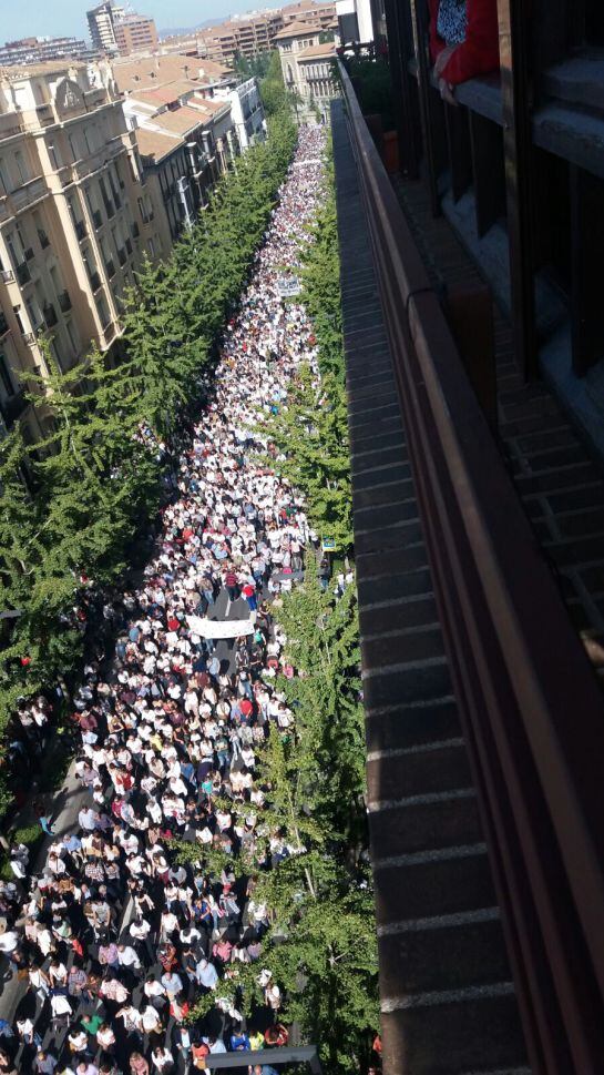 Decenas de miles de personas se han manifestado en Granada contra la fusión hospitalaria