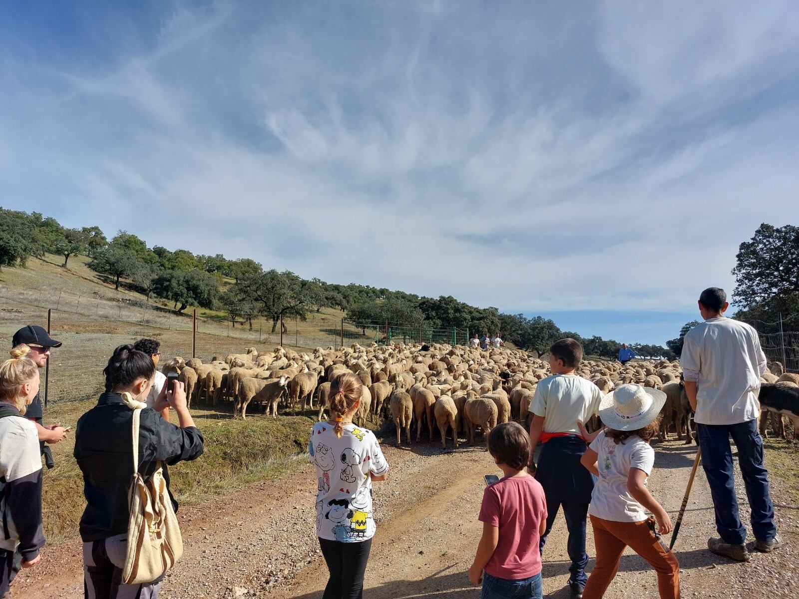 El proyecto BioNNOMÍA resalta la importancia de la ganadería extensiva ecológica para la protección y conservación de nuestros montes