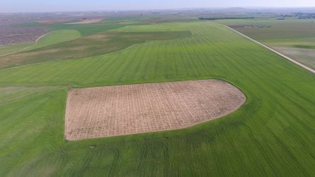 Campos de Cultivo y Camino de Guerra