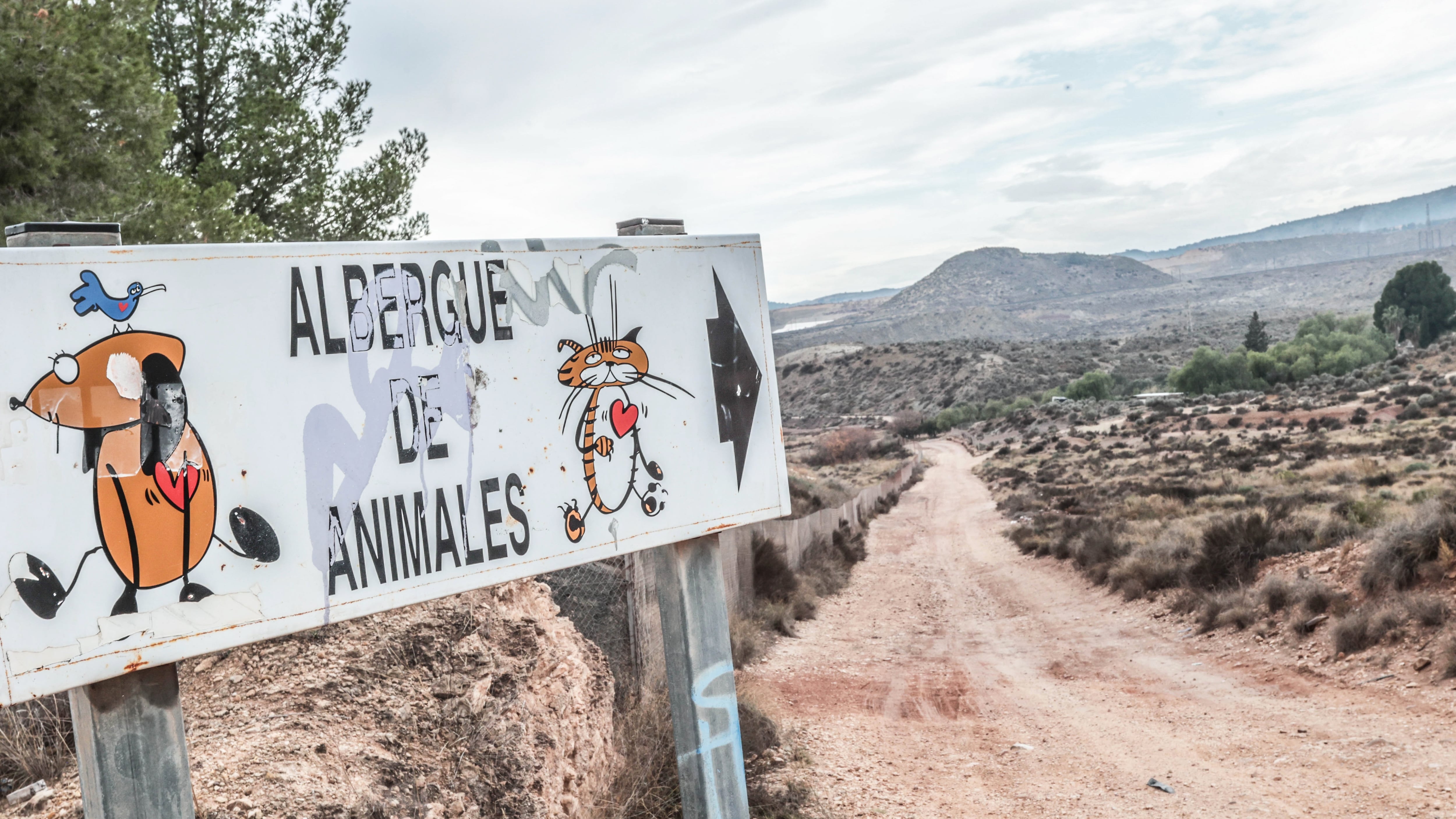 Acceso al Albergue de animales de la Mancomunidad Intermunicipal del Valle del Vinalopó