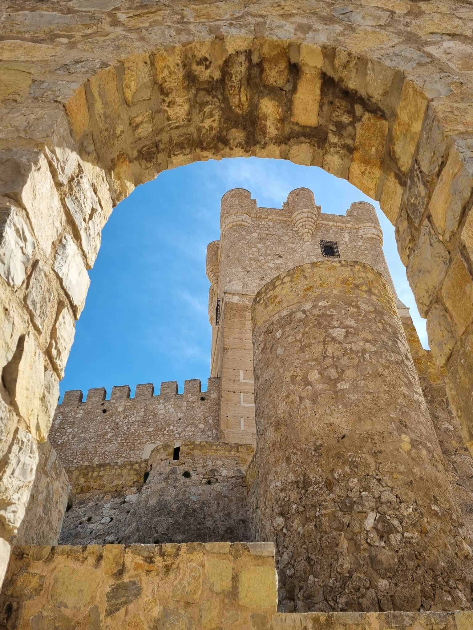 Trabajos premiados en el concurso