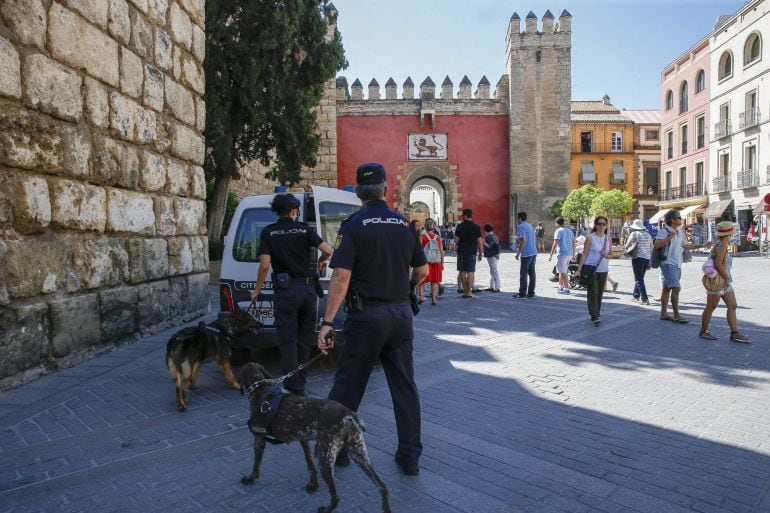 Agentes de la Policía Nacional recorren con perros los alrededores de los monumentos más destacados de Sevilla donde se intensifican las medidas de seguridad ante la inminente visita del presidente de los Estados Unidos, Barack Obama, que está generando u