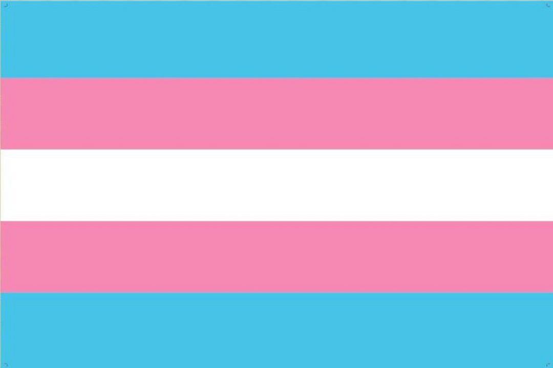 Día internacional de la visibilidad transgénero