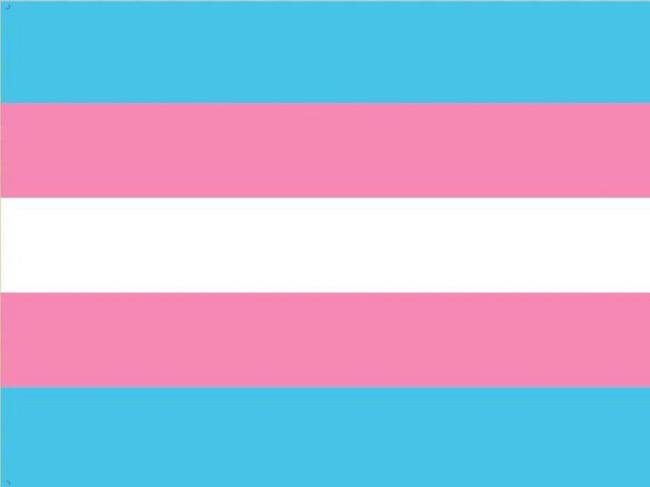 Día internacional de la visibilidad transgénero