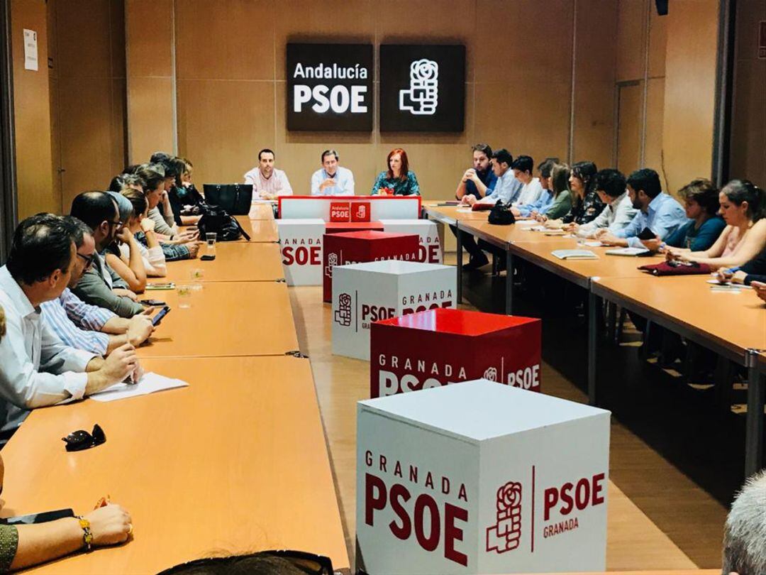 Reunión de la comisión ejecutiva provincial del PSOE de Granada