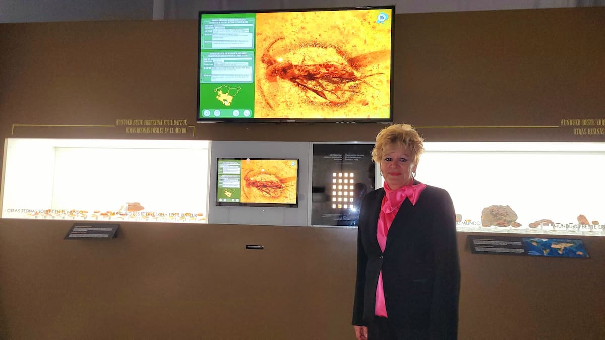 Ana del Val: "El museo de ciencias naturales Abrirá sus puertas en la Casa del Cordon a finales del 26, o principios del 27"