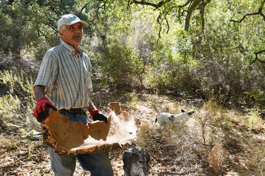 Un trabajador del corcho en Faraján, en la Serranía de Ronda