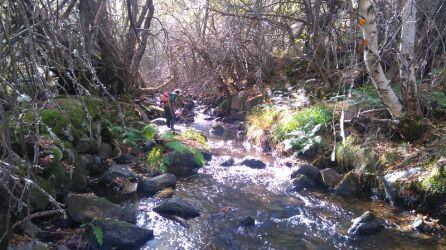 El Becedillas será uno de los ríos objeto de la actuación