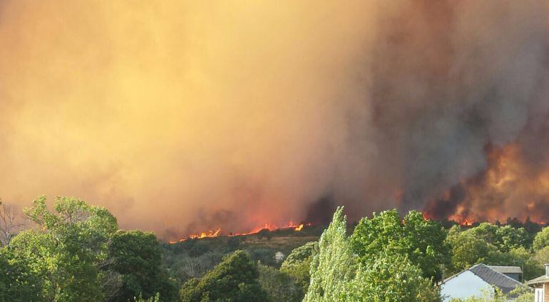 Los agentes forestales esperan desde hace 9 años por el curso de traslados