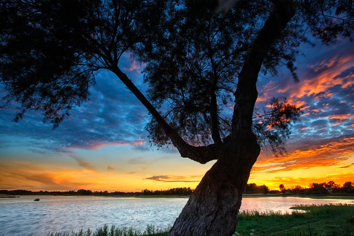 Doñana is a Spanish nature reserve located in Andalusia