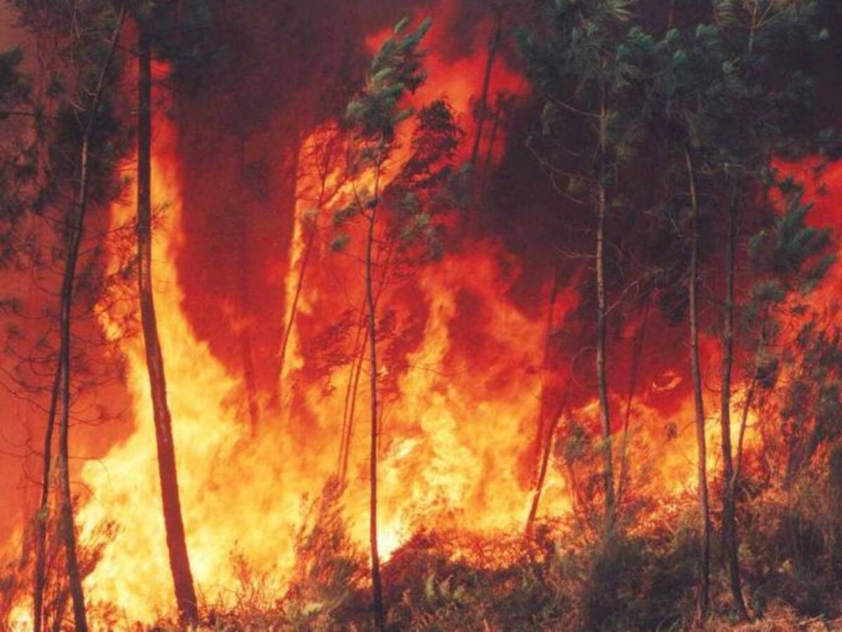 Todos contra el fuego 2.0