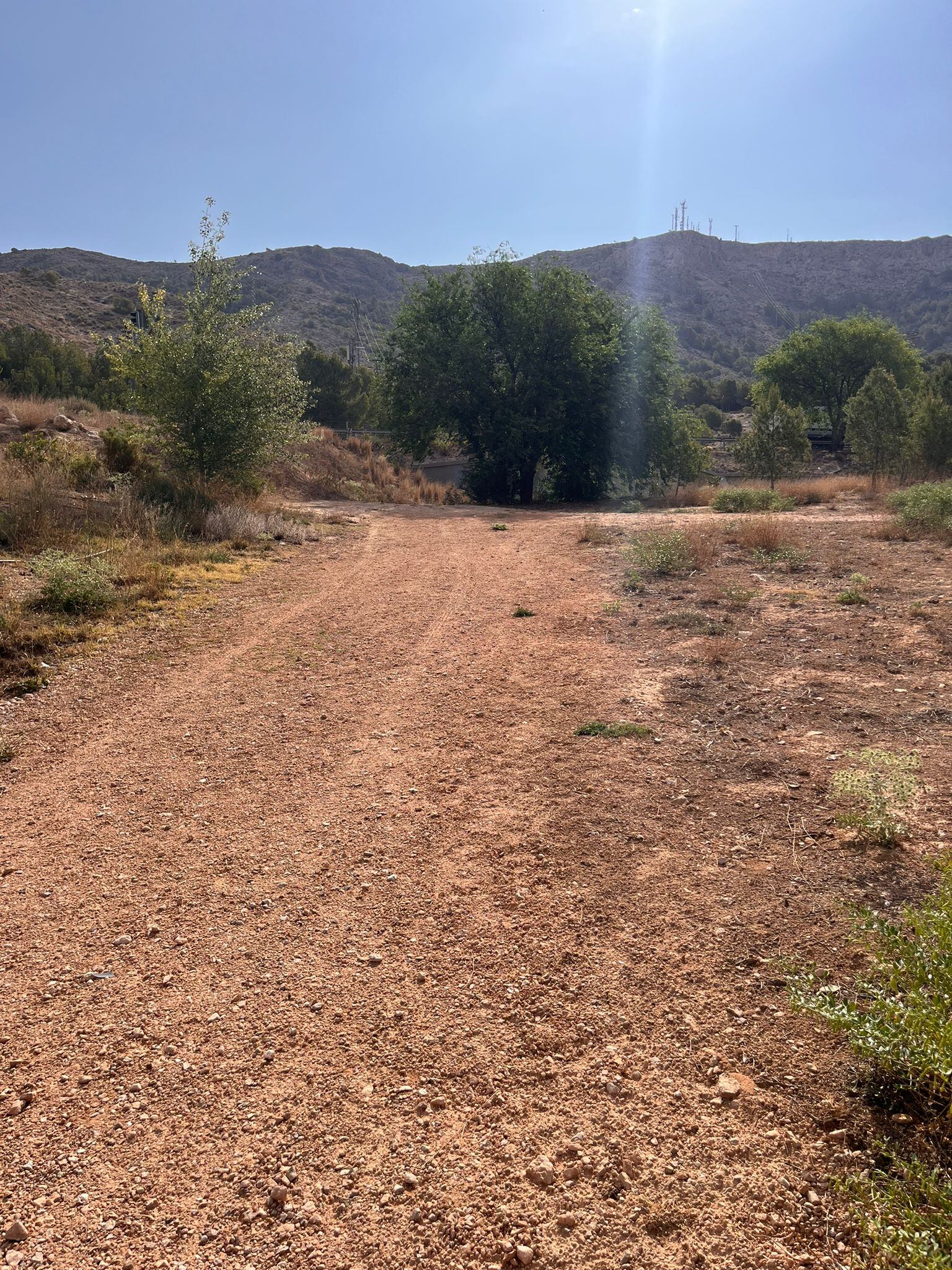 Uno de los caminos reparados