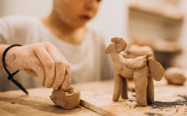 Exploradores del pasado