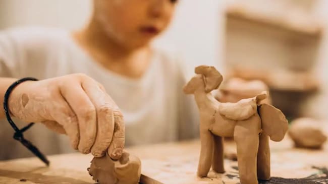 Exploradores del pasado