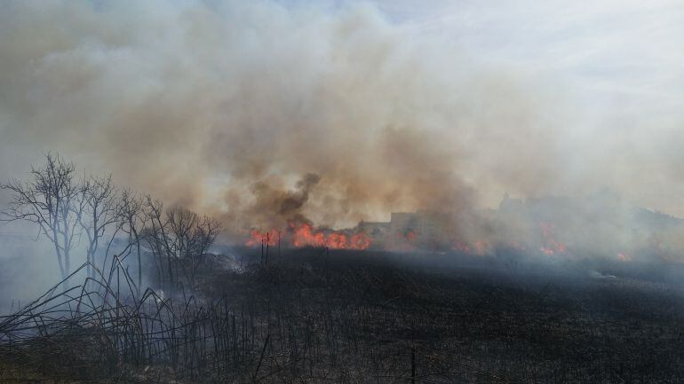 Imagen de archivo del incendio que asolo ses Feixes des Prat de Vila en marzo del año pasado