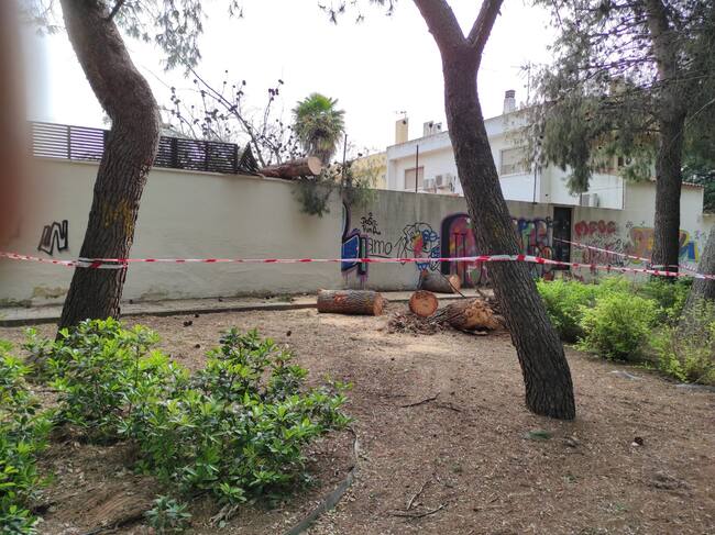 Árbol ya cortado en trozos, tras ser arrancado por el viento este sábado junto a la calle Grecia