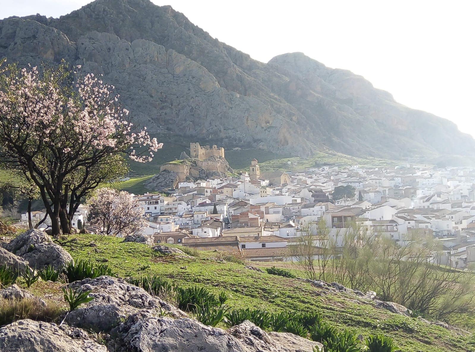 Panorámica de Bedmar.