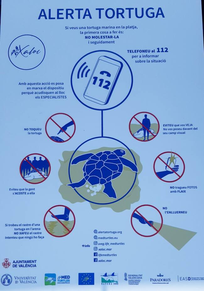 Cartel "Alerta tortuga"