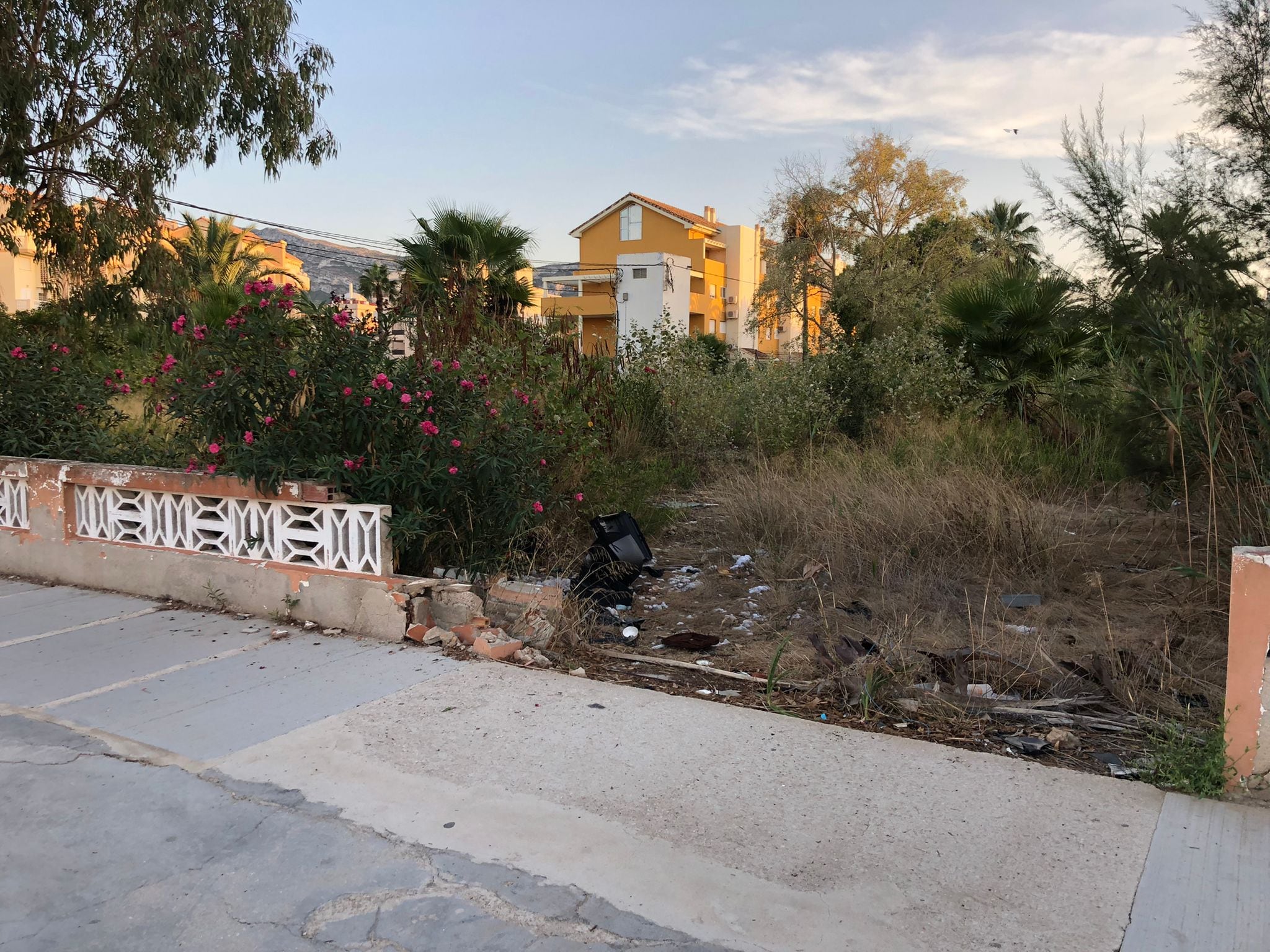 Muro caído de la finca abandonada contigua al carrer Donzella.