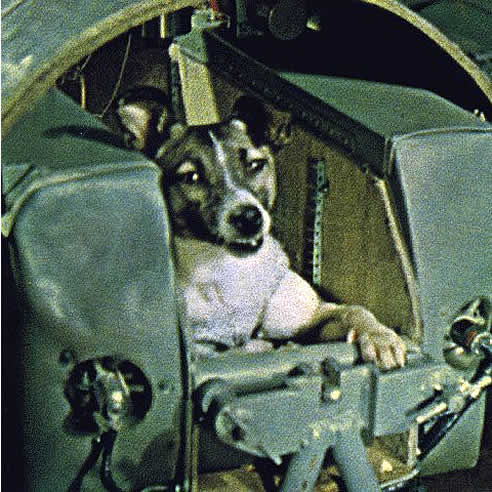 Laika, hace cincuenta años