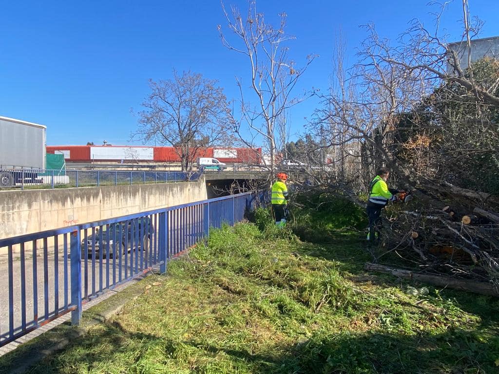 El Ayuntamiento de Andújar pone en marcha un programa de desbroce en el polígono industrial La Estación