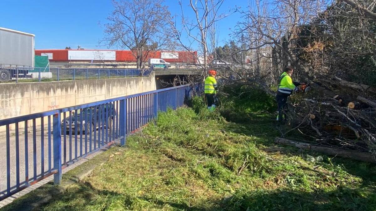 El Ayuntamiento de Andújar pone en marcha un programa de desbroce en el polígono industrial La Estación