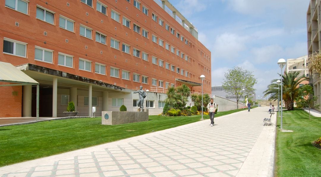 Los estudiantes universitarios tendrán que finalizar el curso de forma "online"