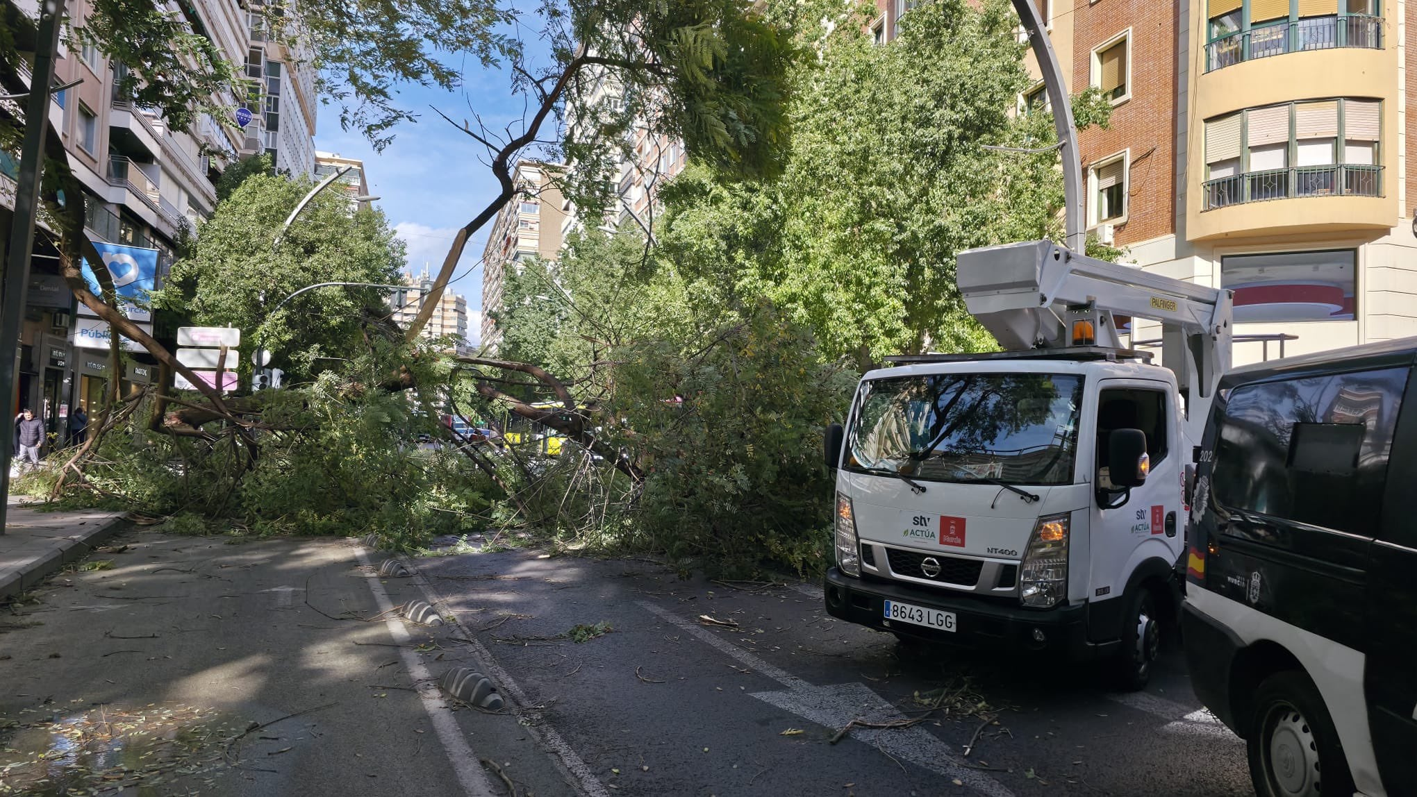 Servicios municipales trabajan en la Gran Vía, a la altura de Santa Isabel, por la caída de un árbol debido a las fuertes rachas de viento.