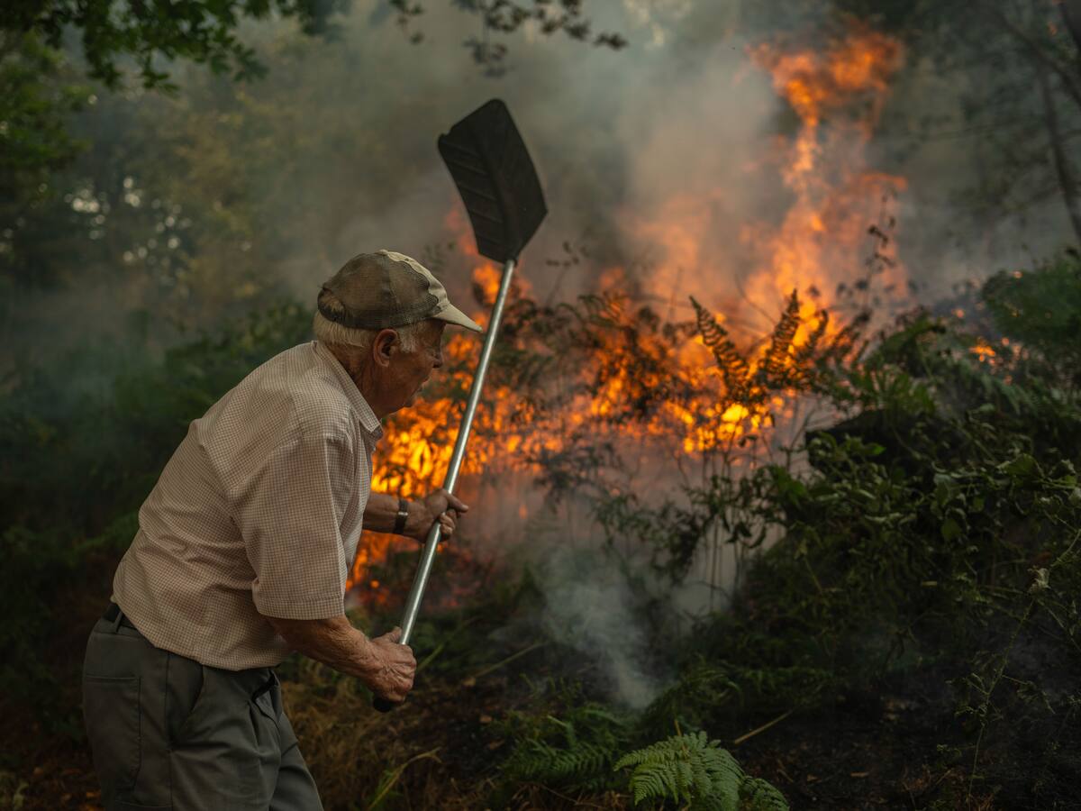 Diez años ignorando la ciencia: Ingenieros de la Politécnica de Lugo propusieron 100 medidas contra incendios que el Parlamento gallego desoyó