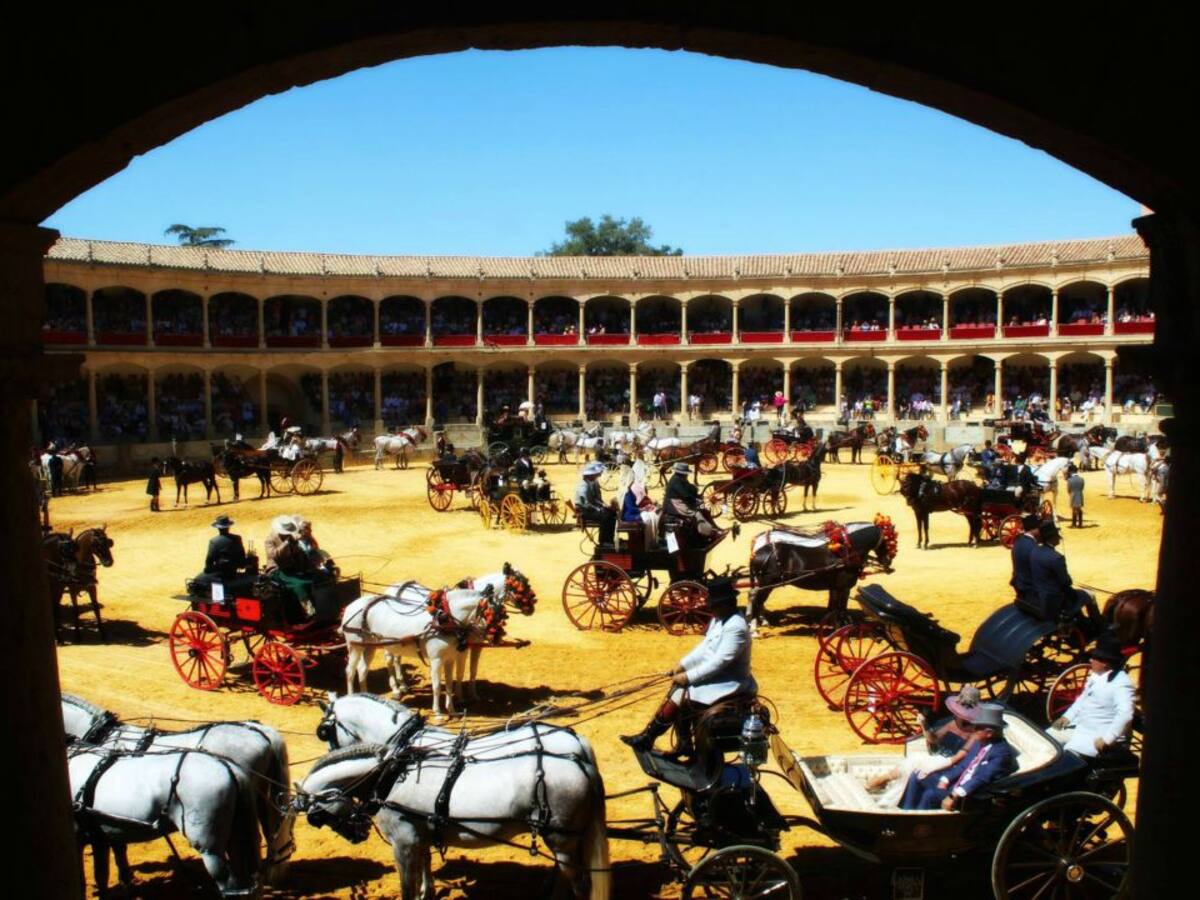 Ronda pierde el Concurso de Enganches
